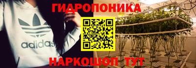 дживик Камышлов