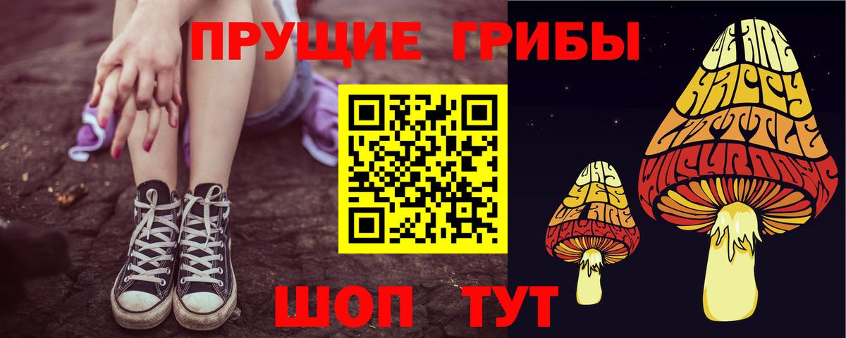 Лосино-Петровский  Псилоцибиновые грибы MAGIC MUSHROOMS  купить   Вход с VPN 
