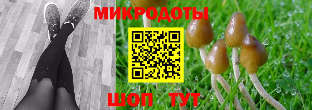 Псилоцибиновые грибы Psilocybine cubensis Лосино-Петровский